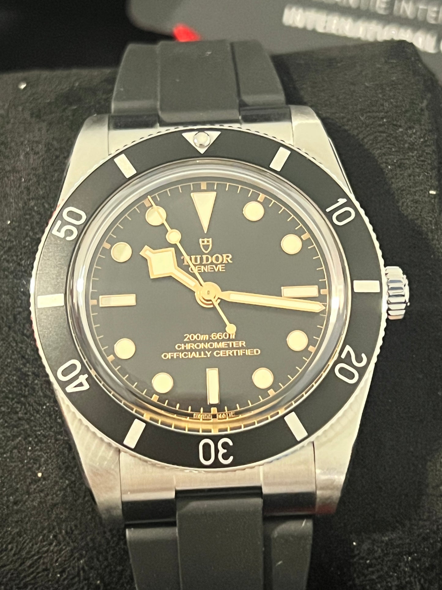 Tudor Black Bay
