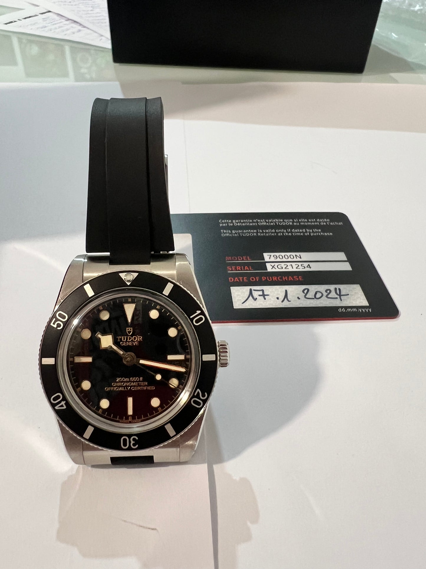 Tudor Black Bay