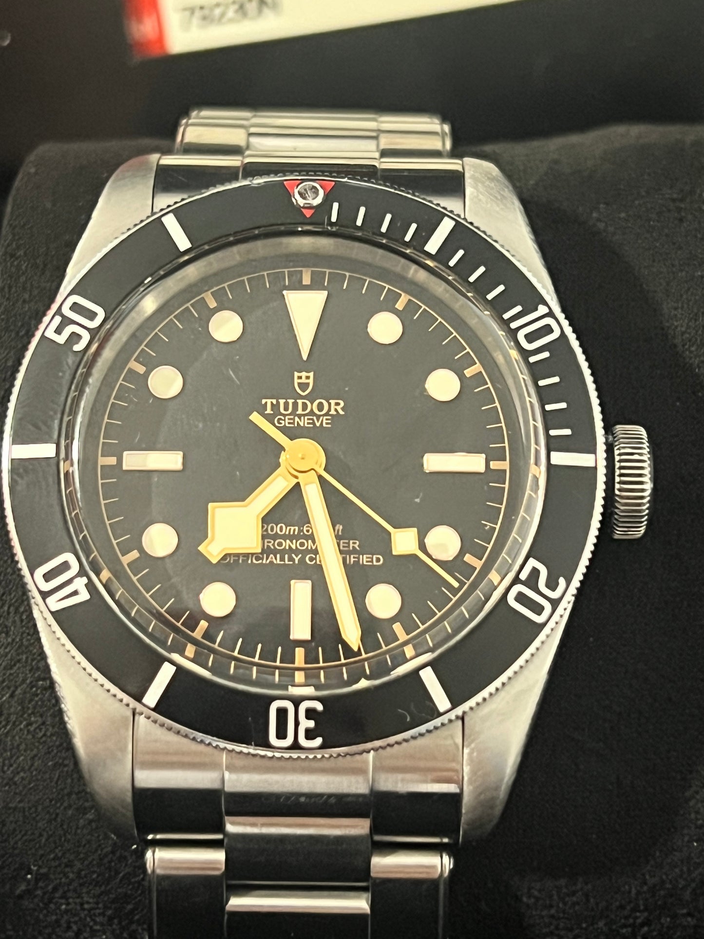 Tudor Black Bay