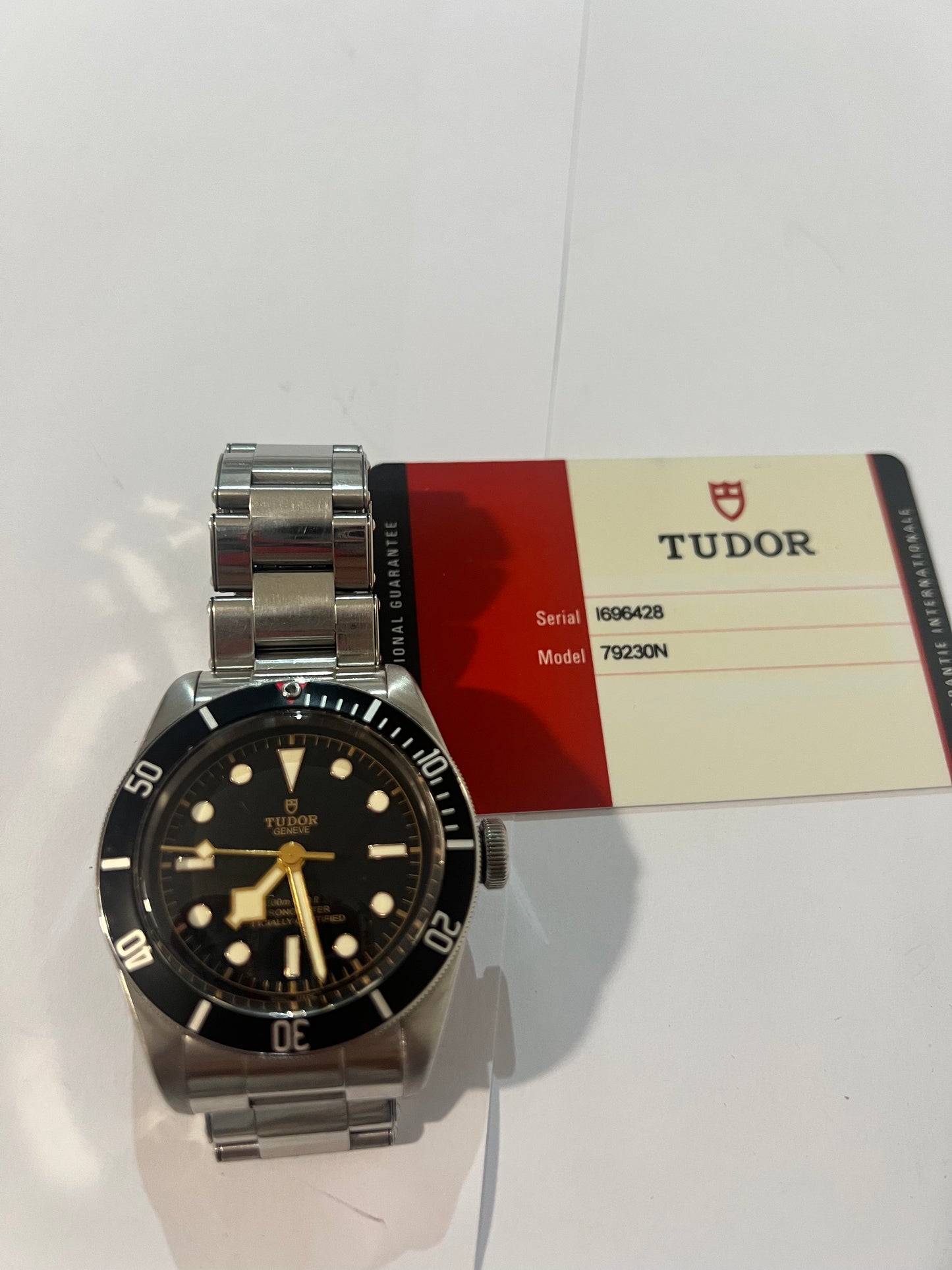 Tudor Black Bay