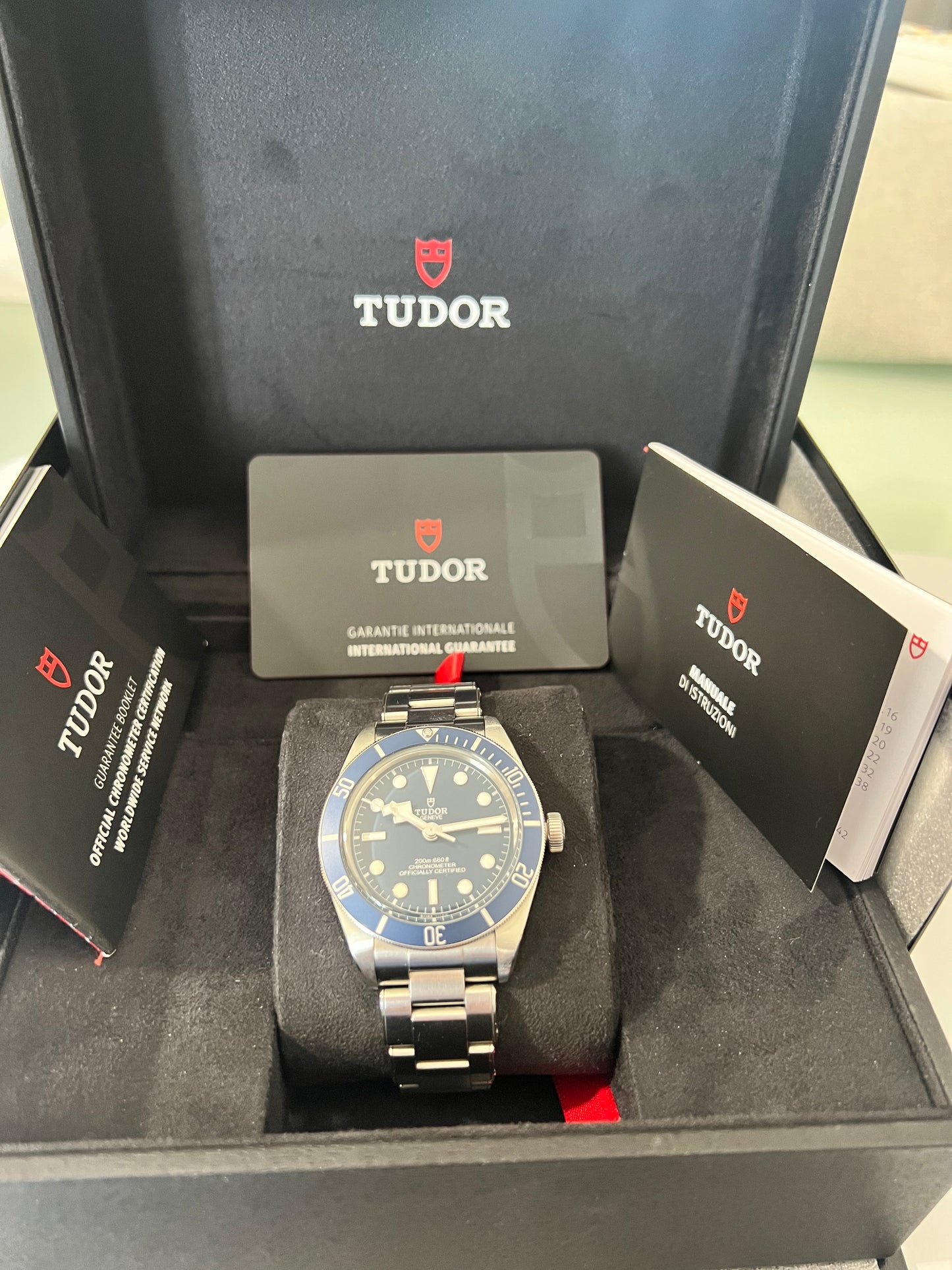 Tudor Black Bay