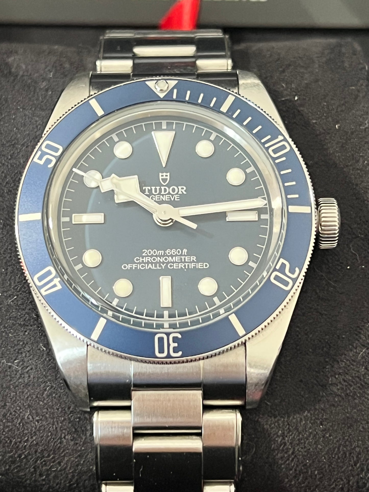 Tudor Black Bay