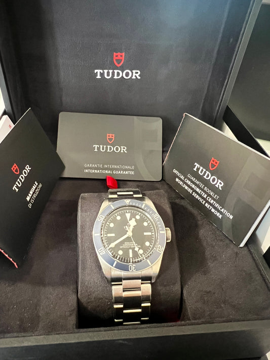 Tudor Black Bay