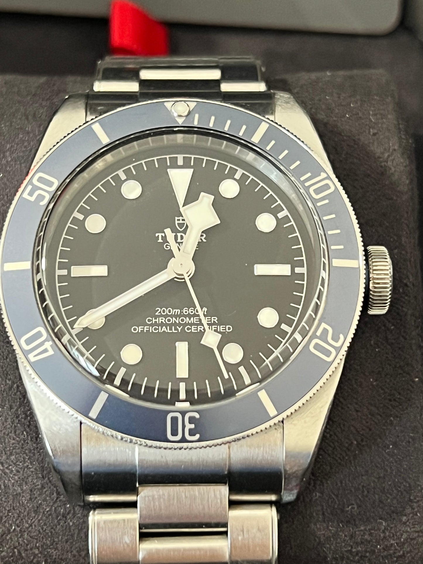 Tudor Black Bay
